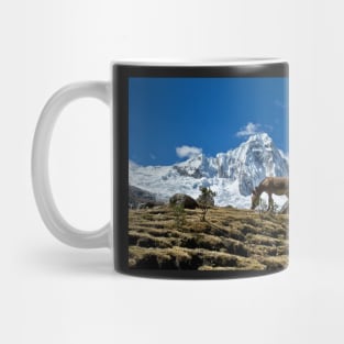 A Burro in the Andes Mug